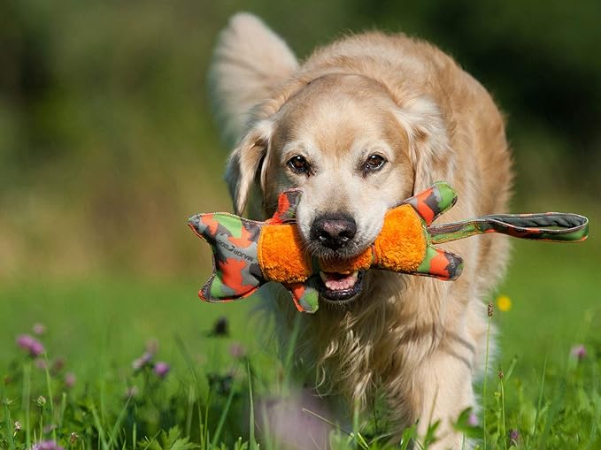 Major Dog Tiger