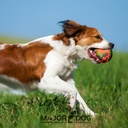Major Dog DUMMY SOFTBALL - MURMELI 