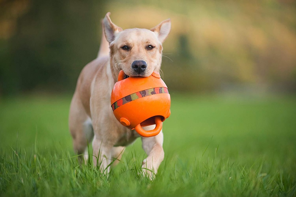 Major Dog DUMMY BALL - PALLO   