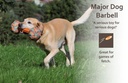 Major Dog HANTEL DUMMY - PAINO ISO  me2, poistuva tuote