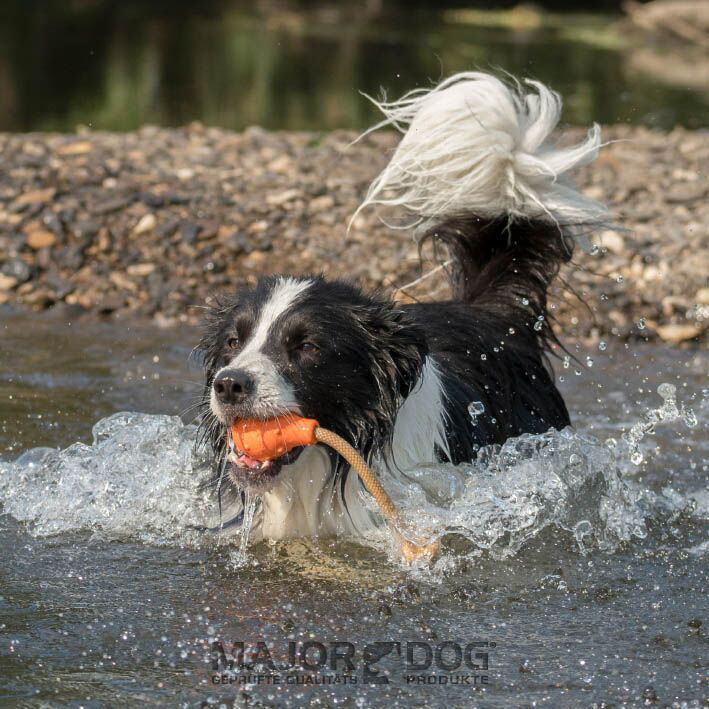 Major Dog SWIMMING EDDY SMALL