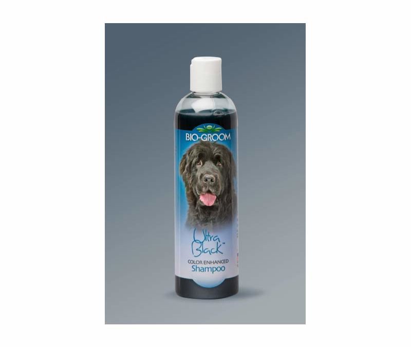 Bio-Groom ULTRA BLACK shampoo 12oz/355 ml