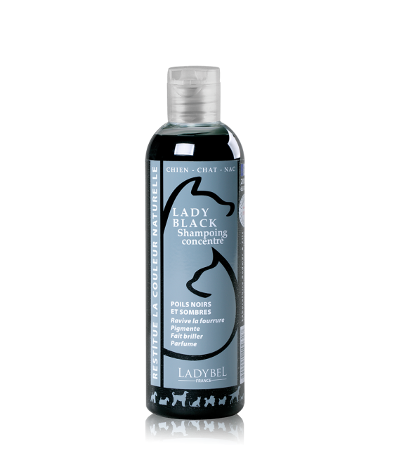 LADYBEL LADY BLACK sävyshampoo 200 ml tummat värit, poistuu valikoimasta