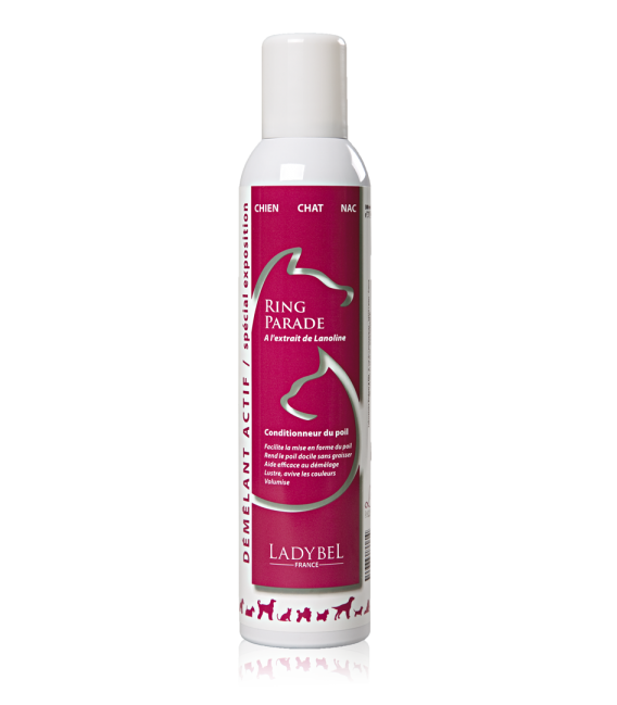 LADYBEL RING PARADE 300 ml, väriä kirkastava kiiltosuihke