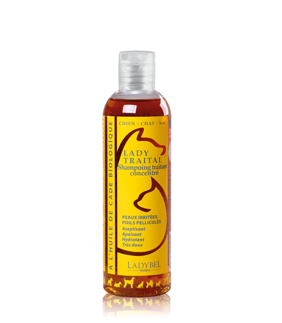 LADYBEL LADY TRAITAL shampoo   200 ml, hoitoshampoo
