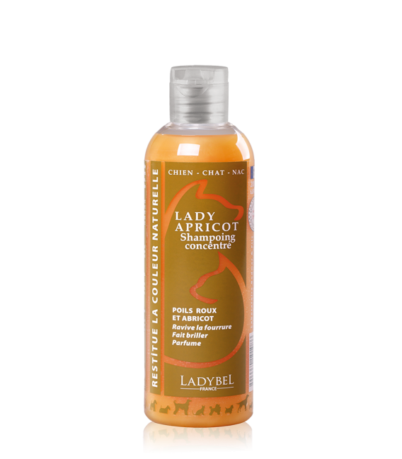 LADYBEL LADY APRICOT sävyshampoo 200 ml, kamomilla, vaalea/kulta