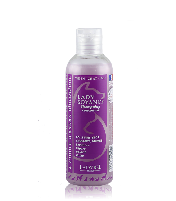 LADYBEL LADY SOYANCE ravitseva shampoo 200 ml Argan oil, poistuu valikoimasta