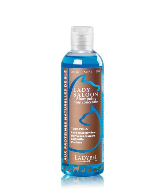 LADYBEL LADY SALOON shampoo  200 ml, yleisshampoo