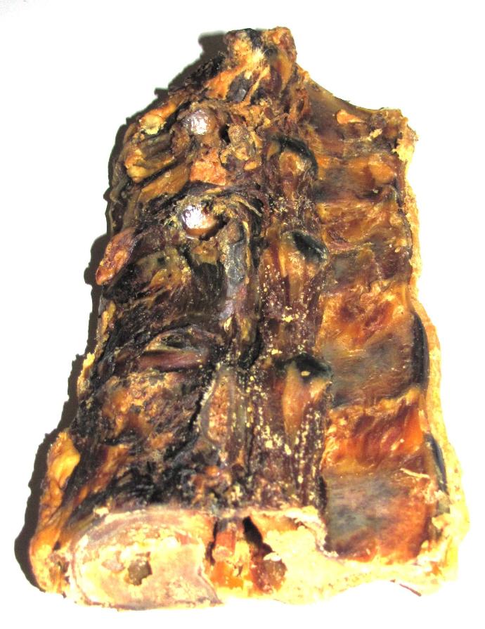 Hirven selkäpala Suomi 1 kg
