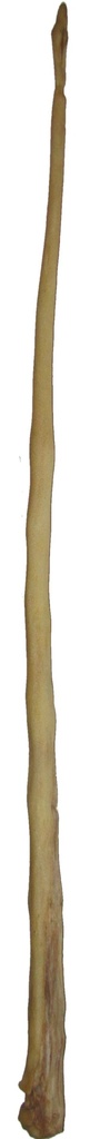 Häränhäntä kokonainen (50-70 cm) 1 kpl