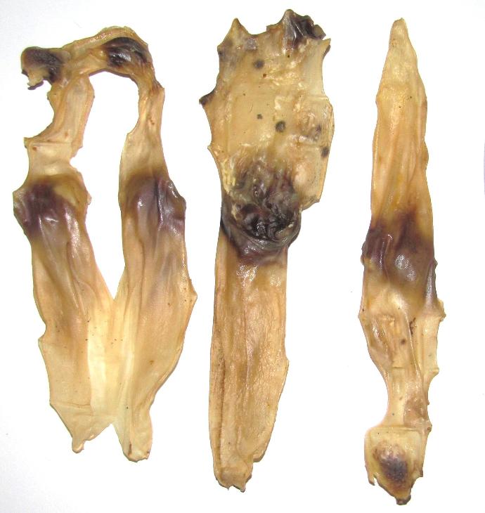 Jäniksen korvat natural 1kg