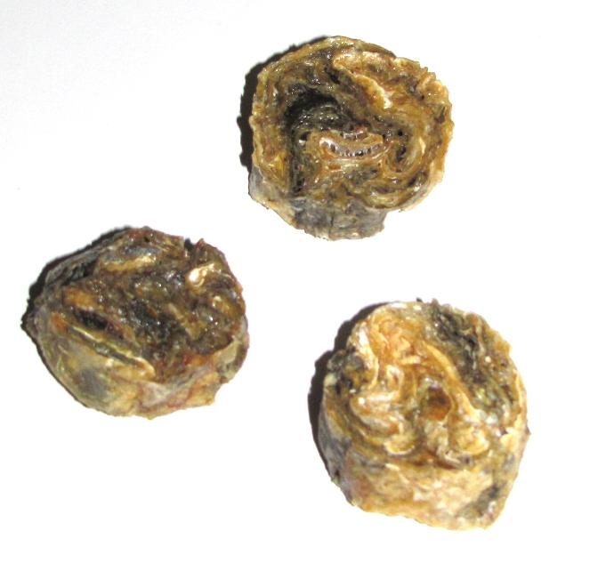 Kalakolikko turska 1kg