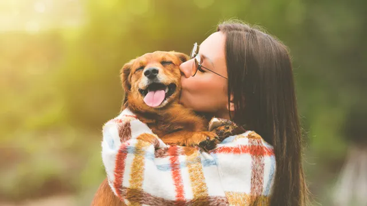 Understanding your dog’s love language (and how to show you them love too)