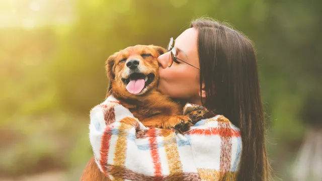 Understanding your dog’s love language (and how to show you them love too)