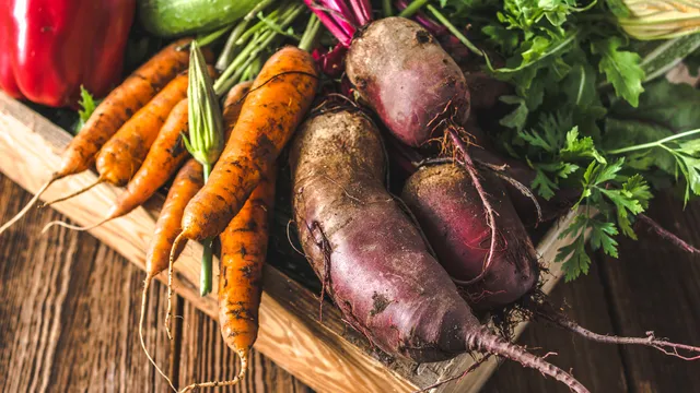 7 best sources of fibre for dogs (and why it matters)