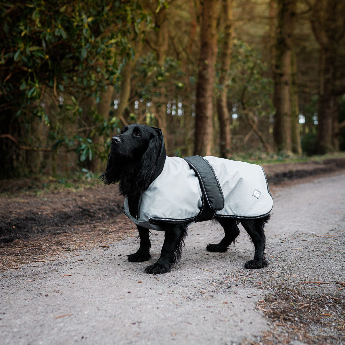 Danish Design Dog Coat 2in1 L/R gray