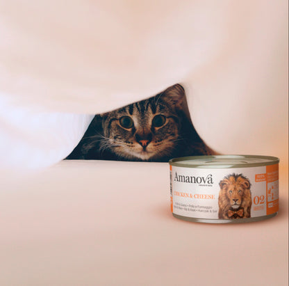 Amanova cat adult 02 kana ja juust puljongis 70 g purk