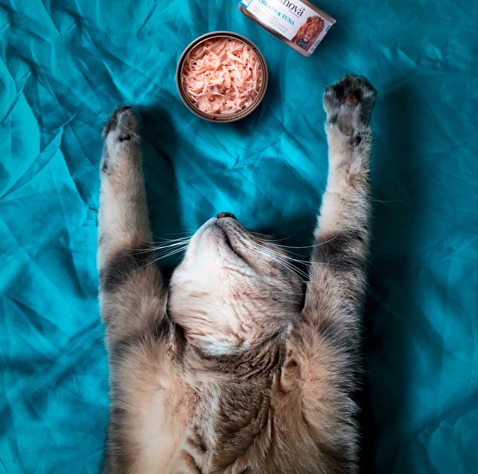 Amanova cat adult 05 chicken & tuna in broth 70 g can