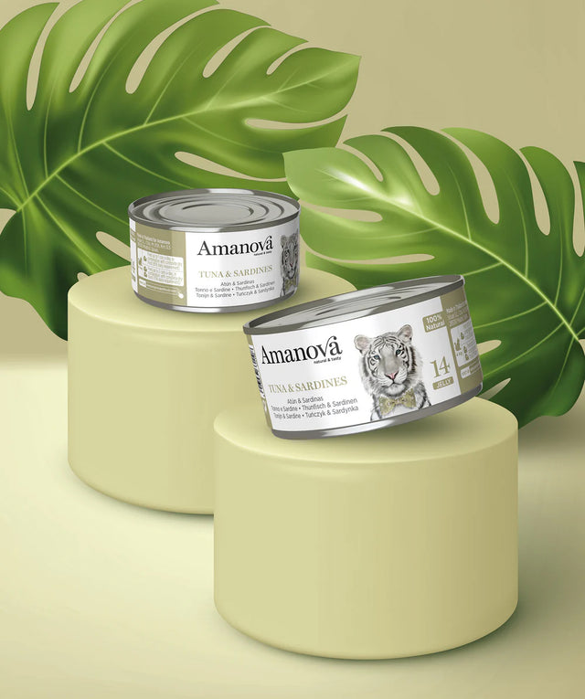 Amanova cat adult 14 tuna & sardine in jelly 70 g can
