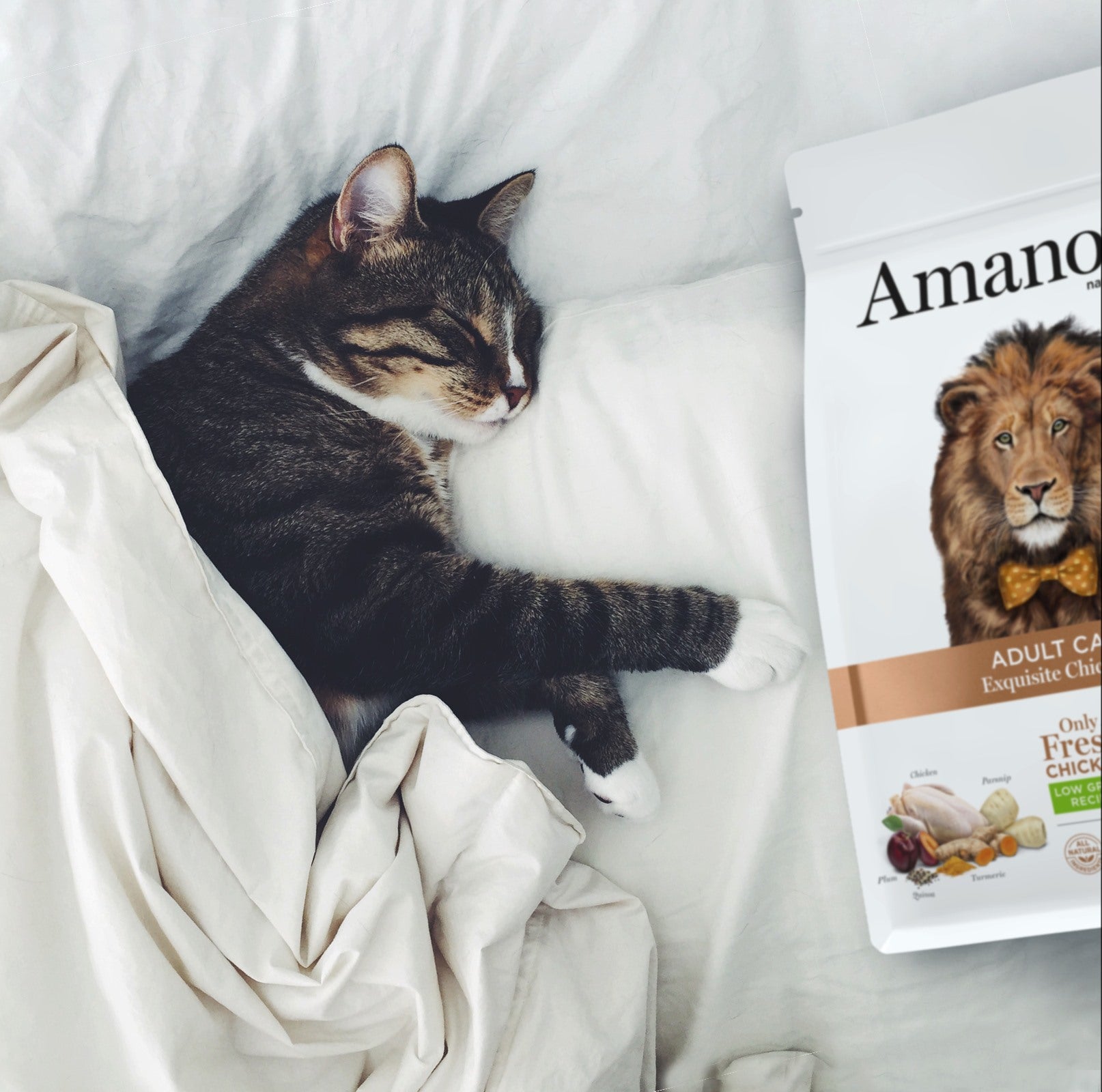 Amanova cat adult Chicken & quinoa low grain 1,5 kg