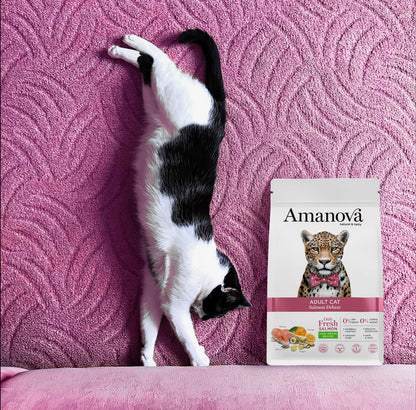 Amanova cat adult Salmon & Quinoa low grain 6 kg