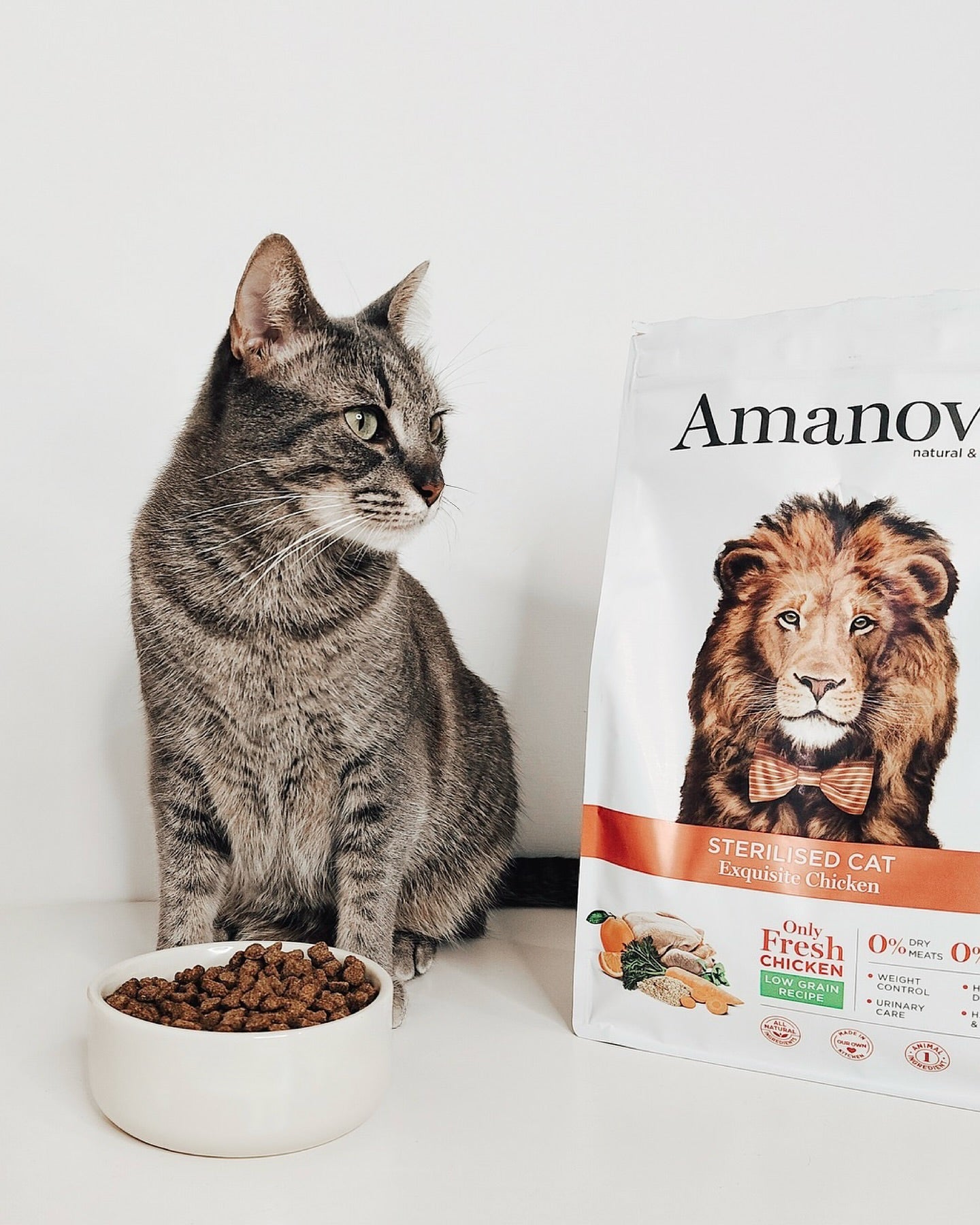 Amanova cat adult Sterilised Exquisite Kana & kinoa low grain 300 g