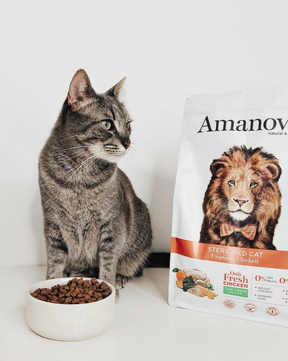 Amanova cat adult Sterilised Exquisite Kana & kinoa low grain 300 g