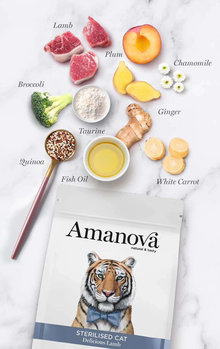 Amanova cat adult Sterilised Lamb & kinoa low grain 1,5 kg