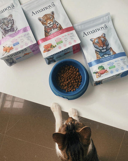 Amanova cat adult Sterilised Lõhe & kinoa low grain 300 g