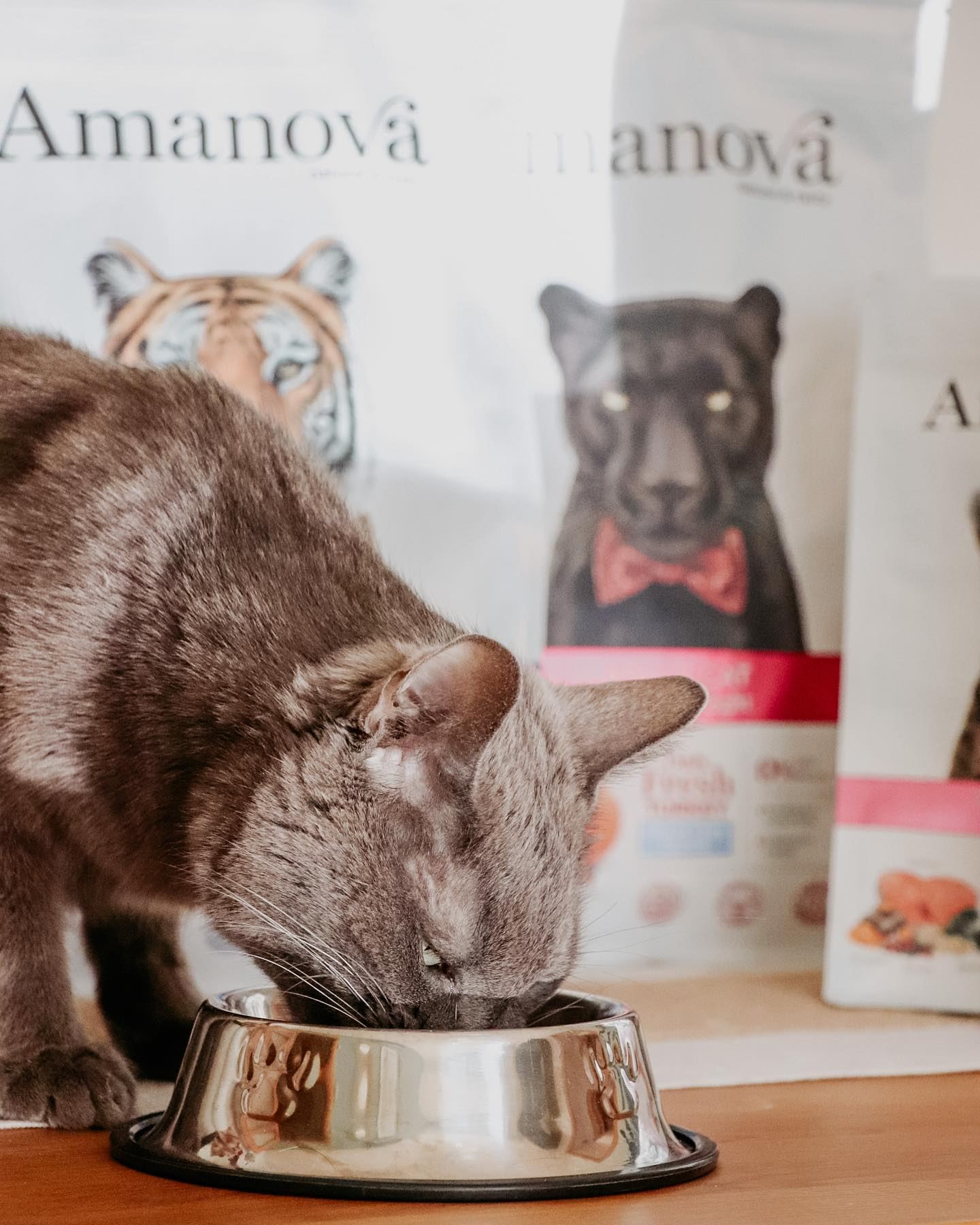 Amanova cat adult Turkey & pumpkin grain‑free 1.5 kg