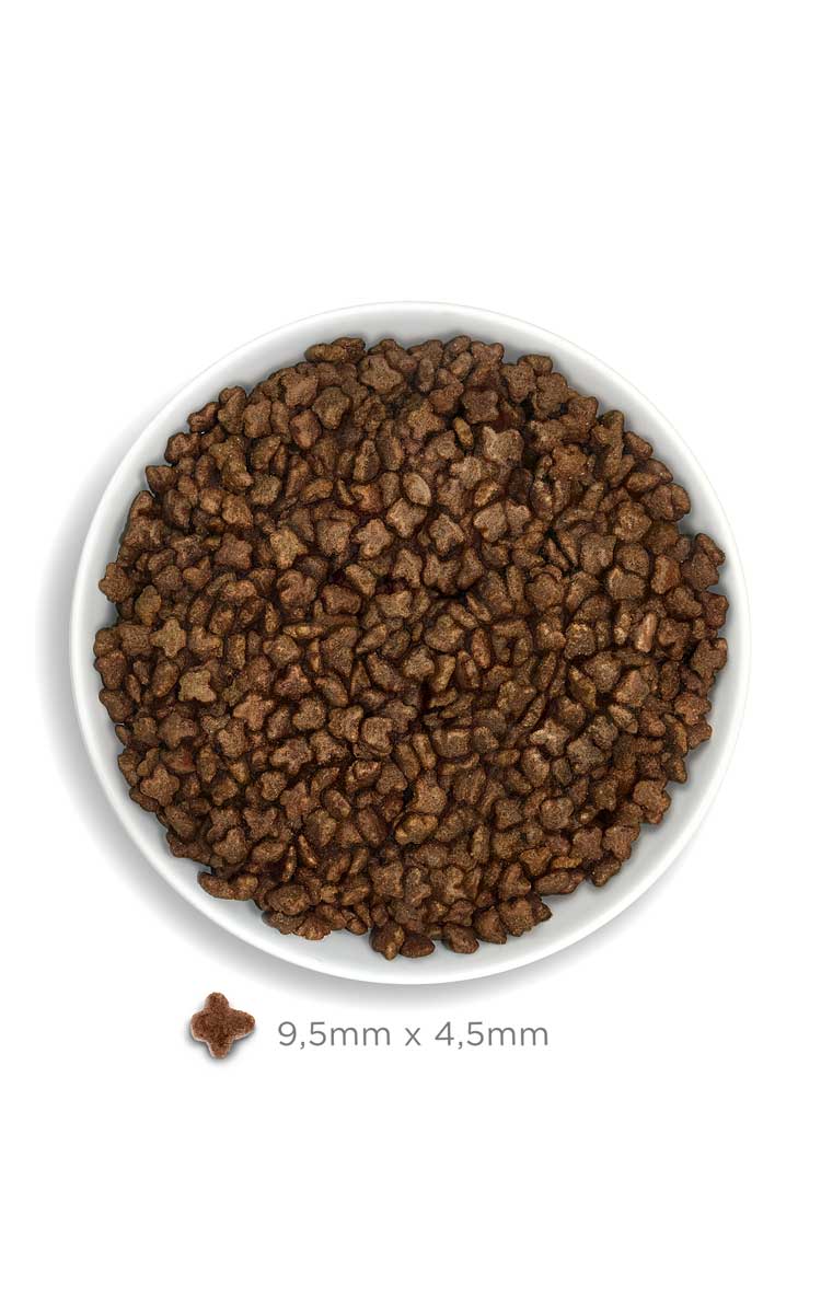 Amanova cat kitten Kana & kinoa low grain 1.5 kg