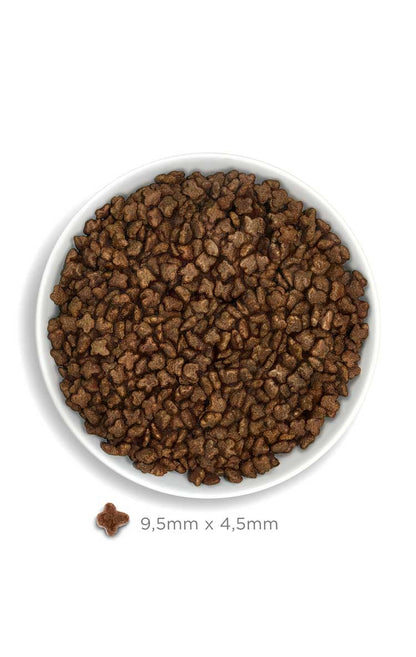 Amanova cat kitten Kana & kinoa low grain 1.5 kg
