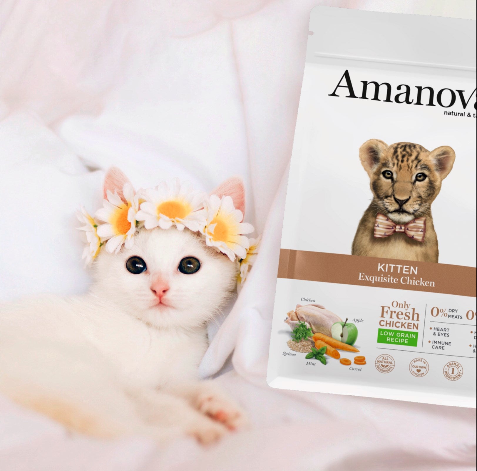 Amanova cat kitten Kana & kinoa low grain 1.5 kg