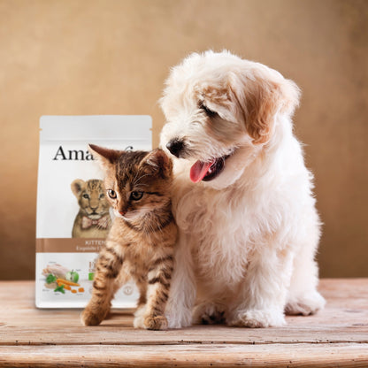 Amanova cat kitten Kyckling & quinoa low grain 300 g