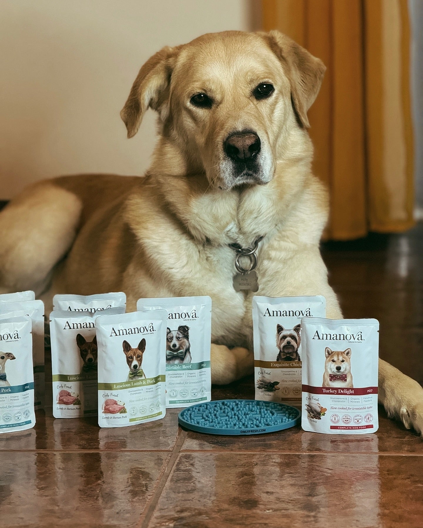 Amanova dog adult Delight kalkun 100 g pouch
