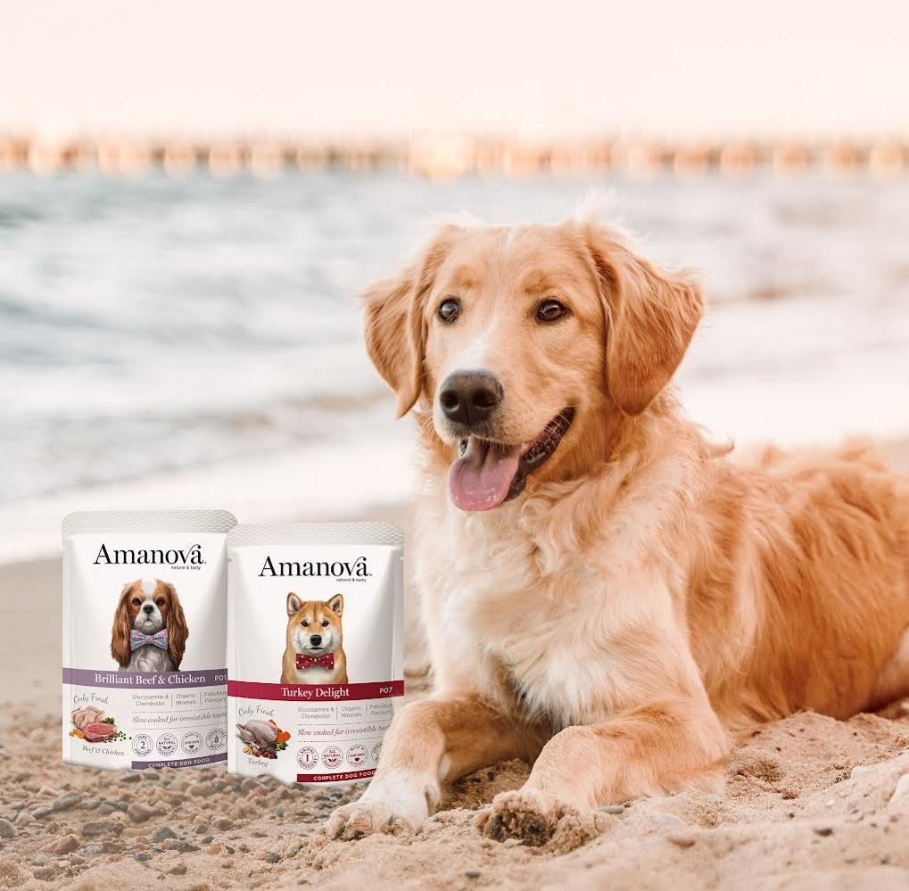 Amanova dog adult Delight kalkun 300 g pouch