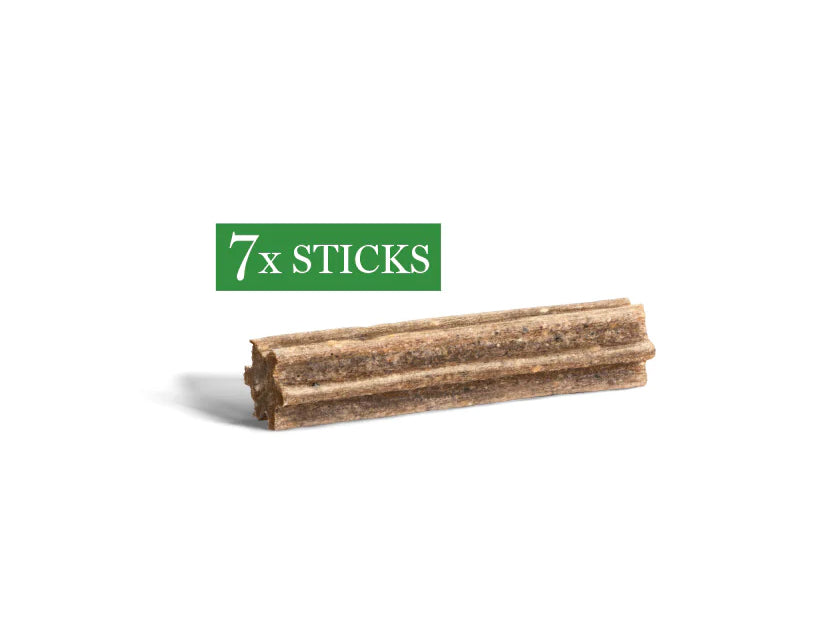 Amanova dog adult Dental chew treat mini vegan