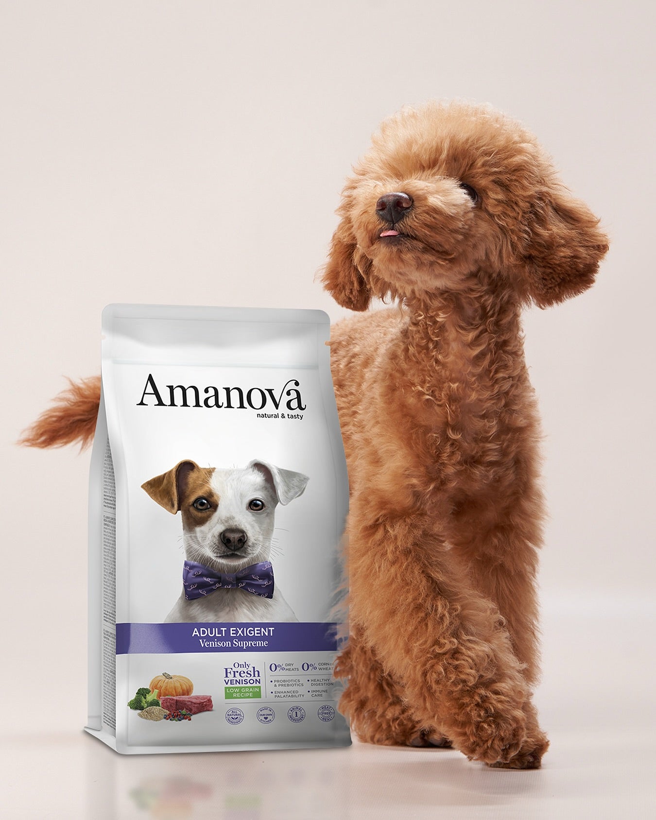 Amanova dog adult Exigent Deer 10 kg