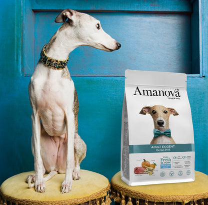 Amanova dog adult Exigent Iberian pork & pumpkin 10 kg