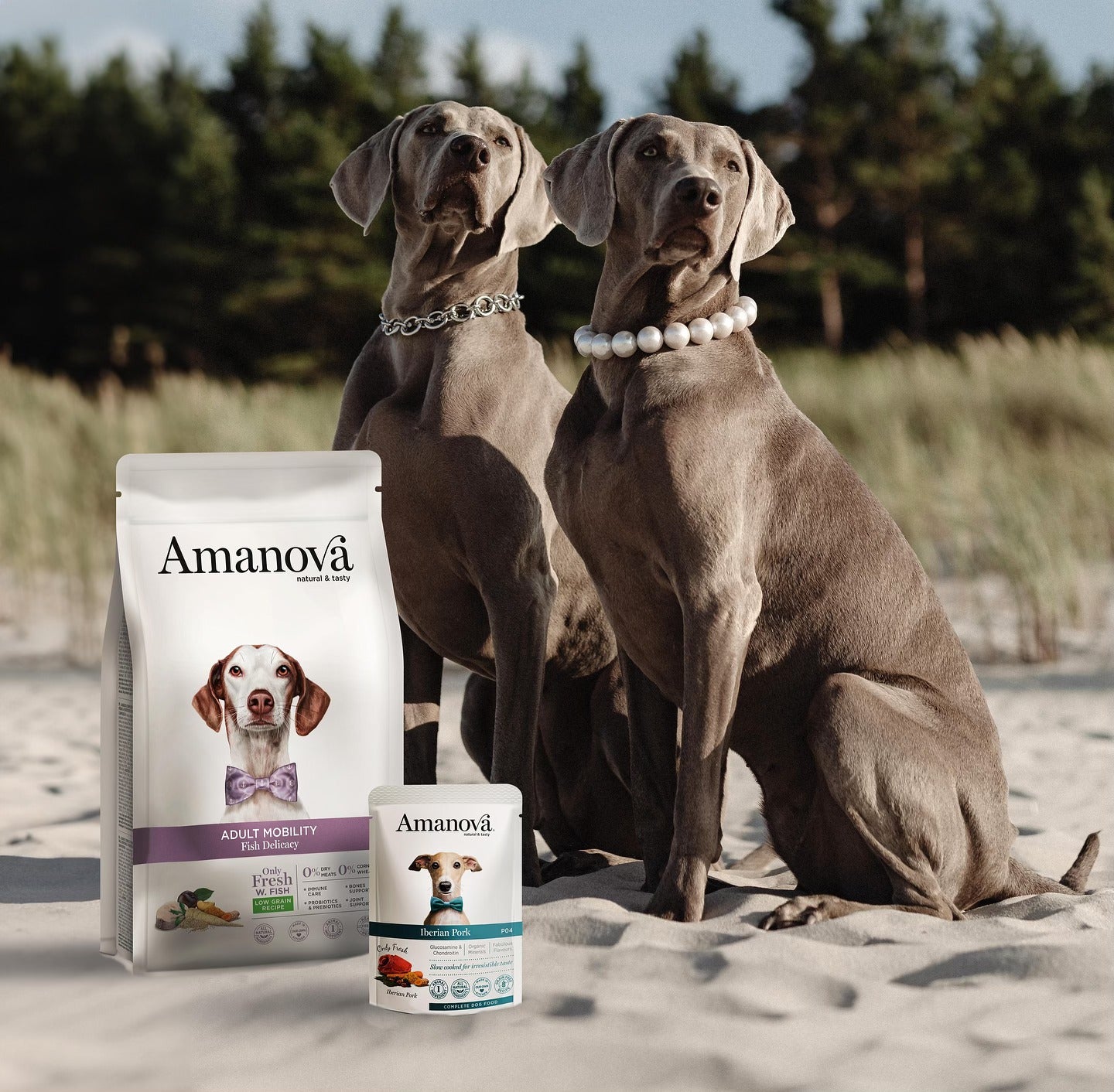 Amanova dog adult Exigent Iberian pork & pumpkin 300 g pouch