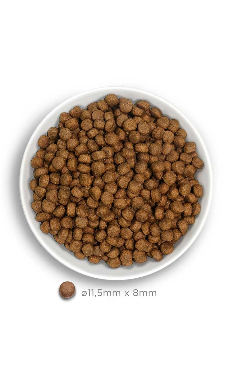 Amanova dog adult large Exquisite kana & kinoa 12 kg