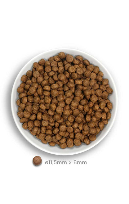 Amanova dog adult large Exquisite kana & kinoa 12 kg