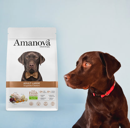 Amanova dog adult large Exquisite kana & kinoa 12 kg