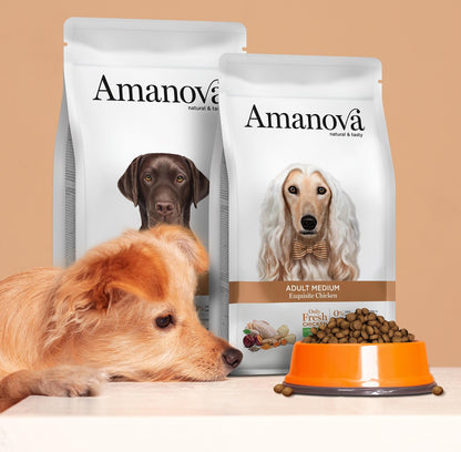 Amanova dog adult Medium Exquisite Chicken & quinoa 12 kg