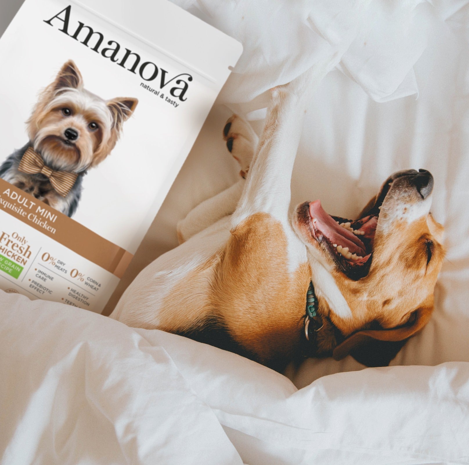 Amanova dog adult mini Exquisite kyckling & quinoa 2 kg