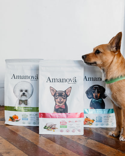 Amanova dog adult mini Obesity kalkon 800 g