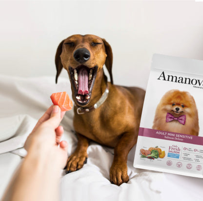 Amanova dog adult mini Sensitive lax & pumpa 7 kg