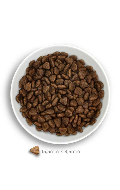 Amanova dog adult Sensitive lõhe & kõrvits 10 kg