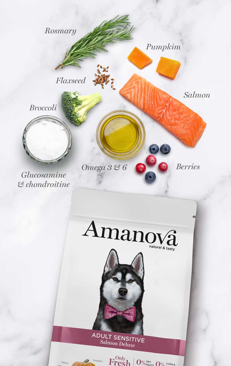 Amanova dog adult Sensitive lõhe & kõrvits 2 kg