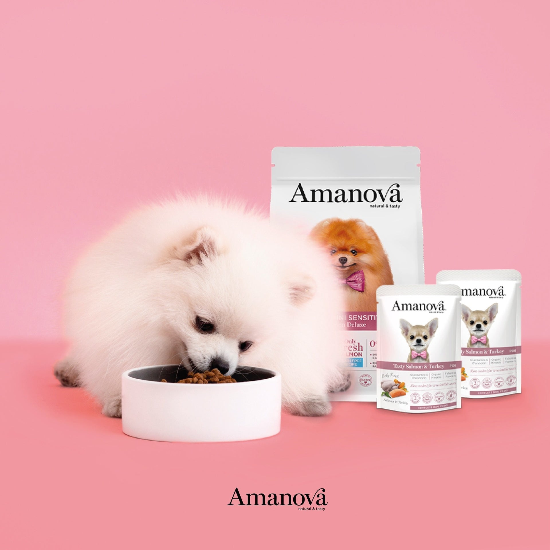 Amanova dog adult Tasty Salmon & Turkey 100 g pouch